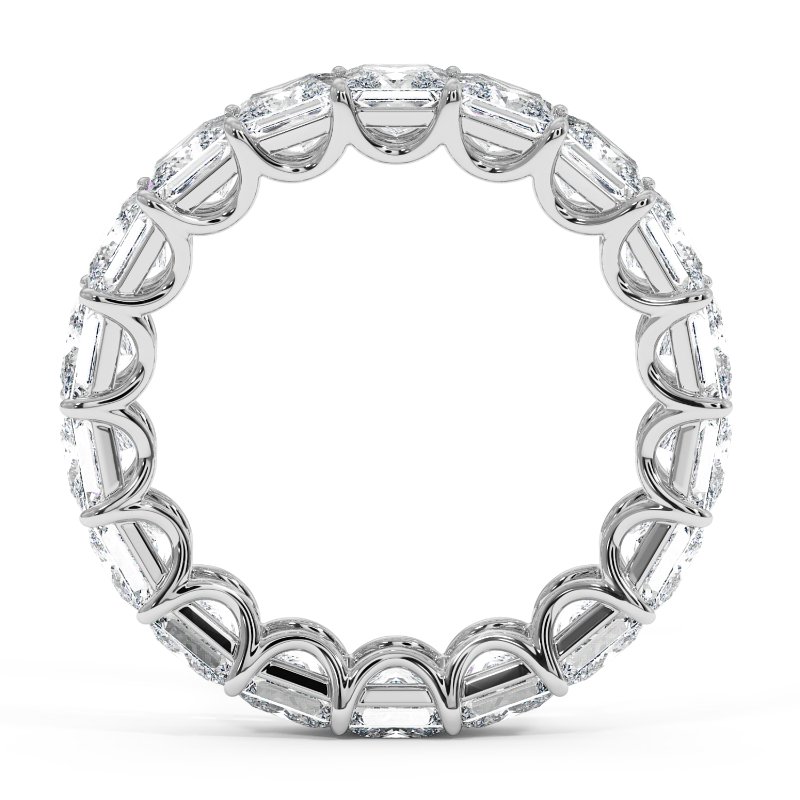 Platinum Naya Eternity Band